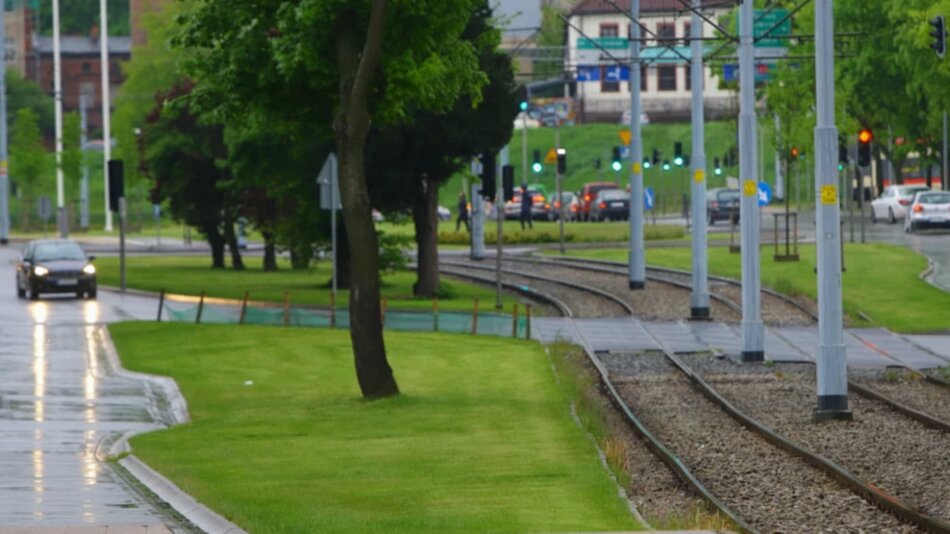 ul. 3 Maja / Nowe Ogrody