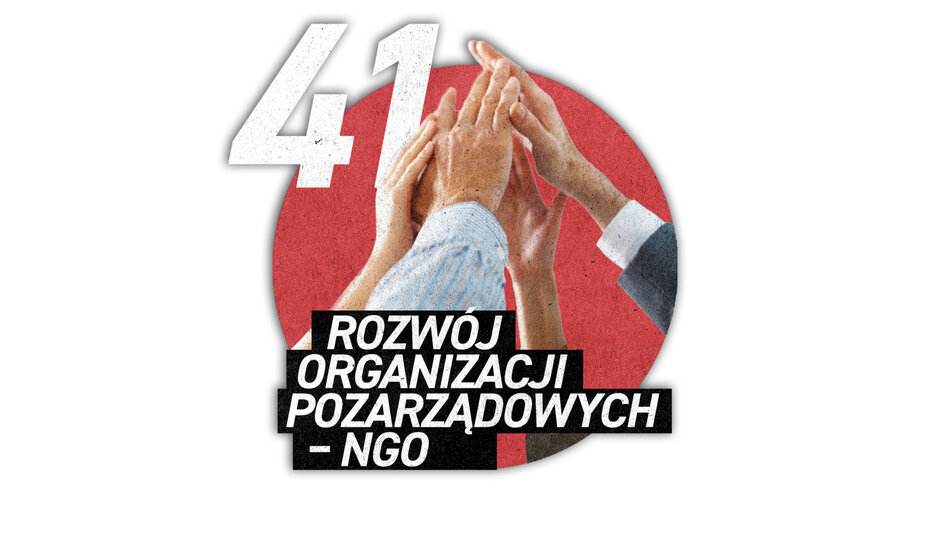 Rozwój organizacji pozarządowych - NGO