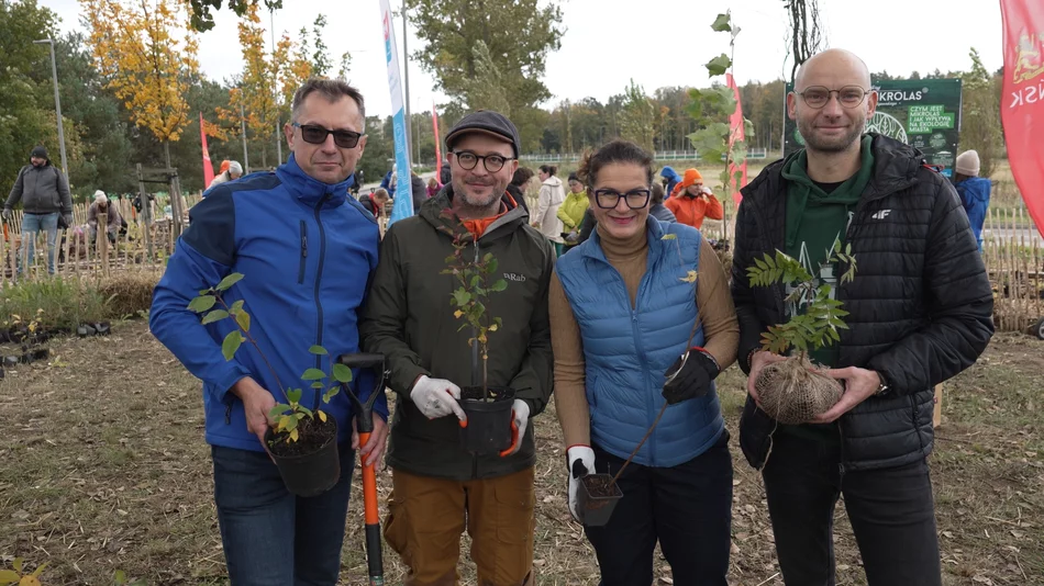Jesienne nasadzenia drzew. Mikrolas w Kokoszkach