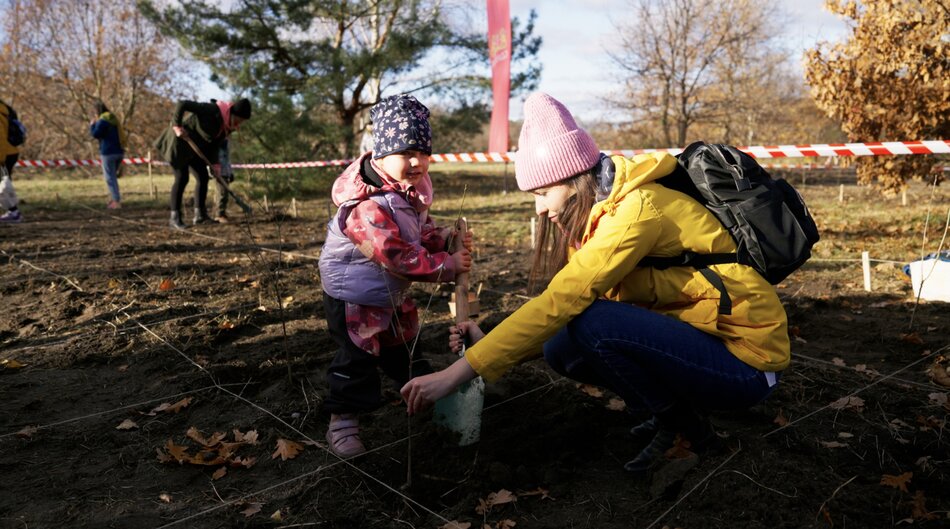 Elektryczny las zamiast śmieci
