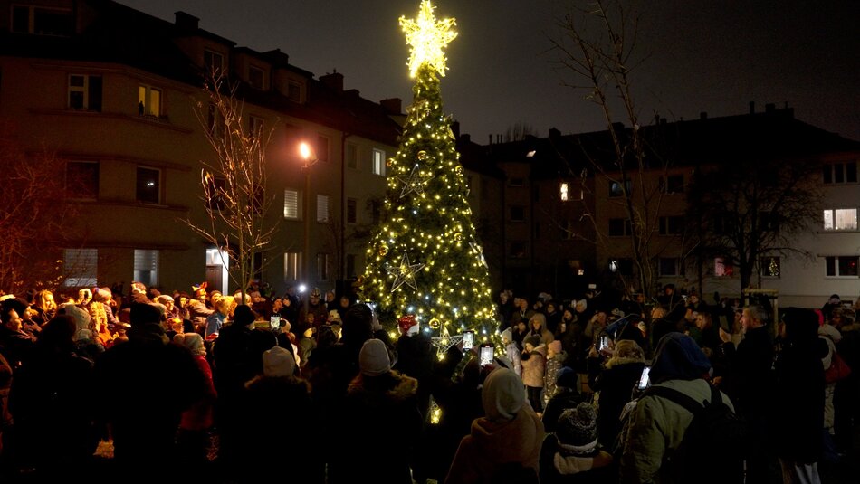 Choinka w Nowym Porcie już świeci