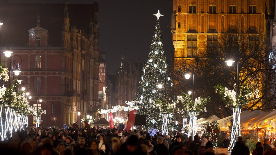 Choinka na Długim Targu już świeci