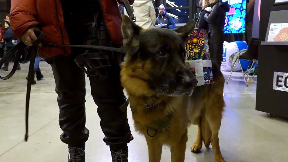 Elvis Piesley wspiera WOŚP