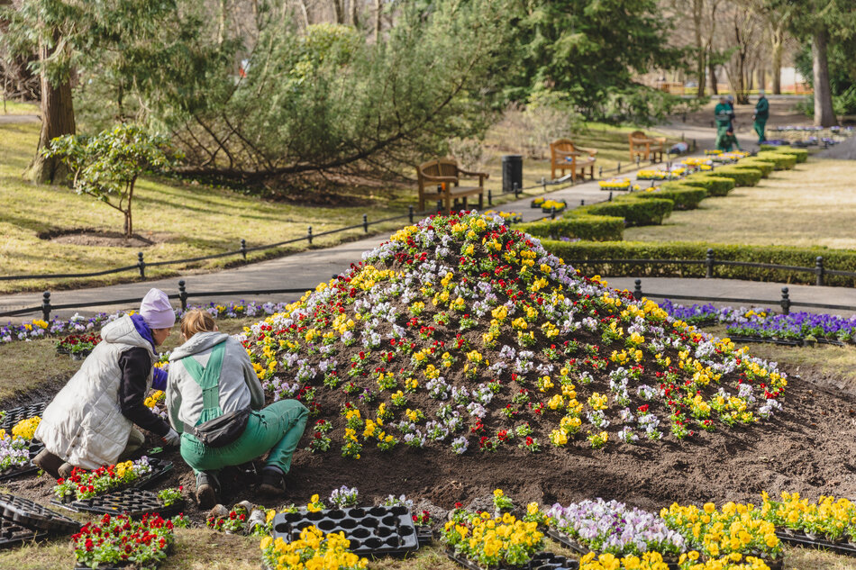 Gdańsk na wiosnę – briefing prasowy