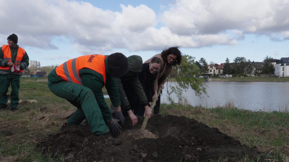 Nowe drzewa przy Zbiorniku Łabędzia