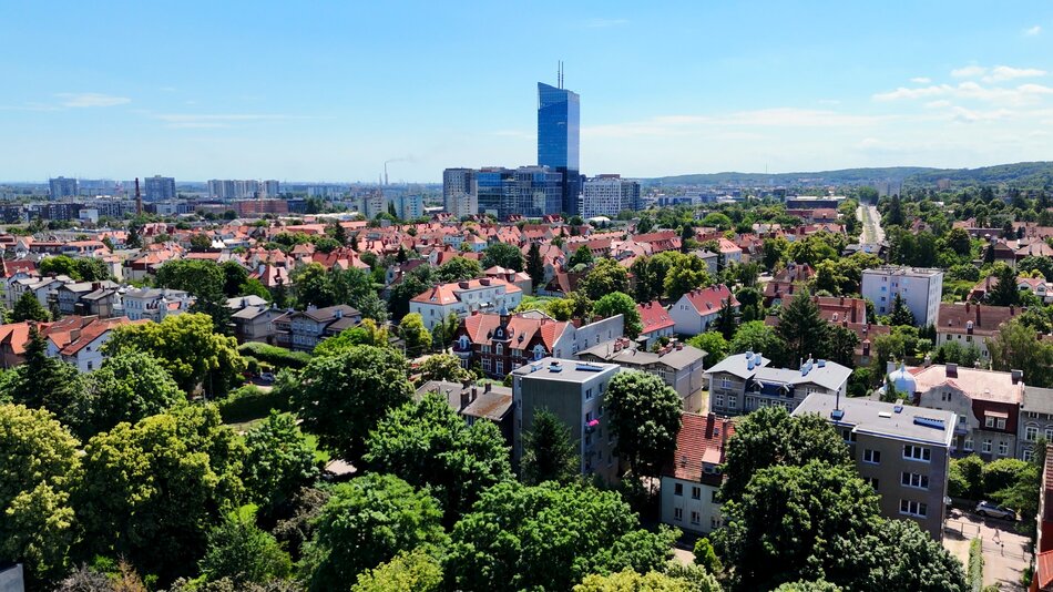 Na czym polega wyjątkowość Oliwy? SONDA