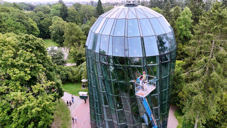 Palmiarnia na błysk! Mycie obiektu rozpoczęte