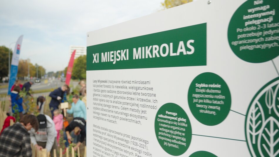 Jedenasty Miejski Mikrolas posadzono na Przymorzu 
