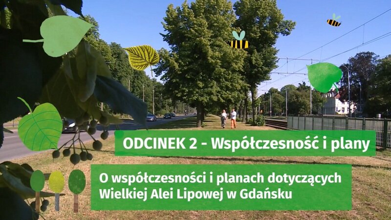 250-lecie Wielkiej Alei Lipowej w Gdańsku, odcinek 2