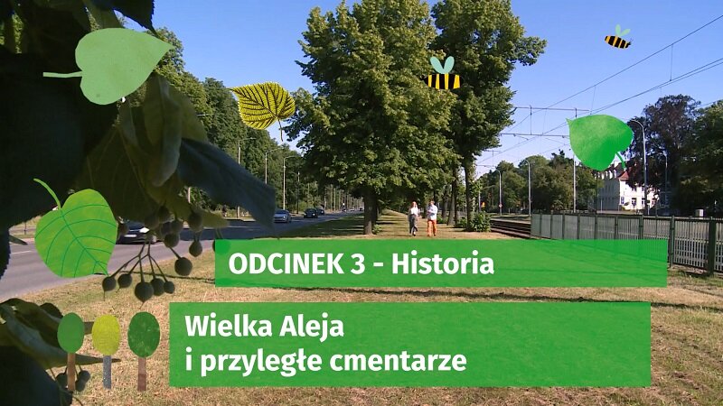 250-lecie Wielkiej Alei Lipowej w Gdańsku, odcinek 3