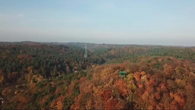 Oliwa jesienią - dron