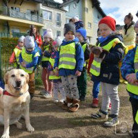 Link do opisu wydarzenia: VIII Osowski EKO FESTYN