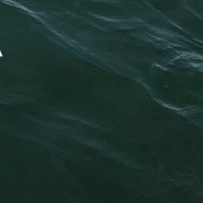 Link do opisu wydarzenia: Wystawa Wojtka Radtke "We The Water / My Woda"