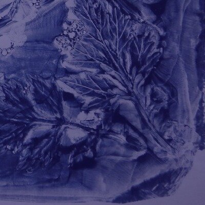 Link do opisu wydarzenia: Warsztaty kreatywne: Monotypia żelatynowa