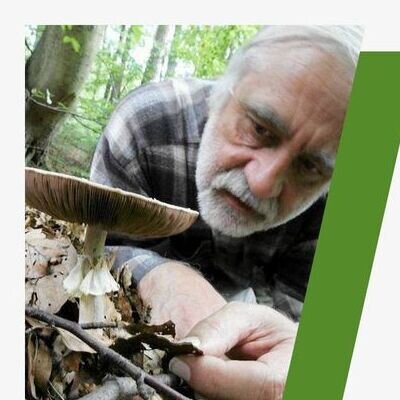 Link do opisu wydarzenia: Przyroda Doliny Samborowo - spacer przyrodniczy z Marcinem Wilgą