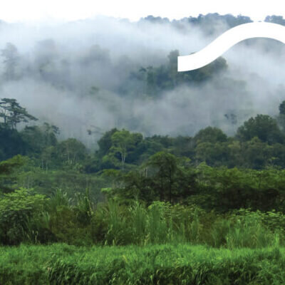 Link do opisu wydarzenia:  Kino plenerowe "Filmy z klimatem"