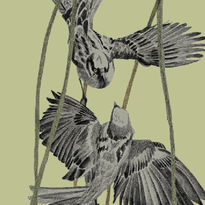 Link do opisu wydarzenia: Koncerty nad Stawem Wróbla