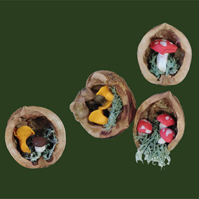 Link do opisu wydarzenia: Grzybobranie w orzeszku: Warsztaty kreatywne