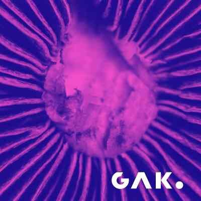 Link do opisu wydarzenia: Tajemniczy świat grzybów