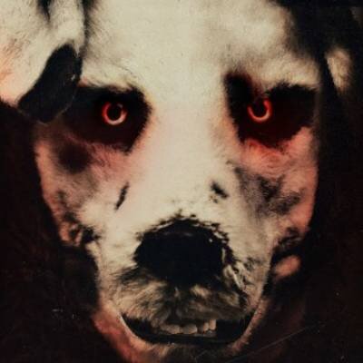 Link do opisu wydarzenia: Halloween w Kameralnym: Dobry piesek