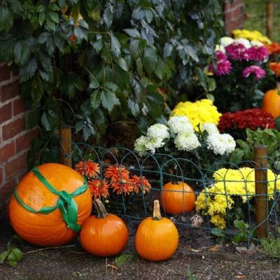 Link do opisu wydarzenia: Pchli Targ