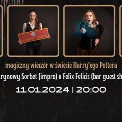 Link do opisu wydarzenia: Magiczny wieczór w świecie Harry'ego Pottera