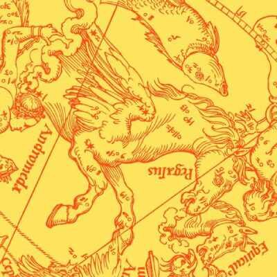 Link do opisu wydarzenia: Galaktyki widzialne i niewidzialne – spotkanie z prof. dr hab. Agnieszką Pollo