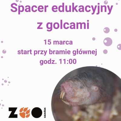 Link do opisu wydarzenia: Edukacyjny spacer w Zoo