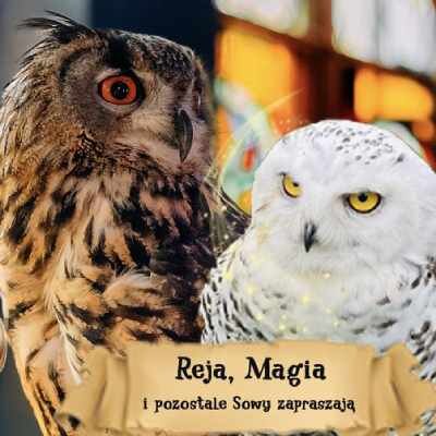 Link do opisu wydarzenia: Warsztaty z Opieki nad Magicznymi Stworzeniami - SOWY