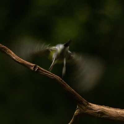 Link do opisu wydarzenia:  Oczywiste Nieoczywiste - wystawa Andrzeja Żaka