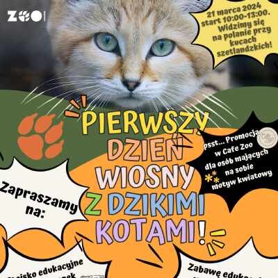 Link do opisu wydarzenia: Pierwszy dzień wiosny z dzikimi kotami!