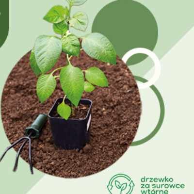 Link do opisu wydarzenia: Włącz się w EKOakcję i odbierz sadzonkę