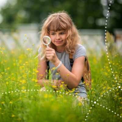 Link do opisu wydarzenia: Sezon letni w Hevelianum