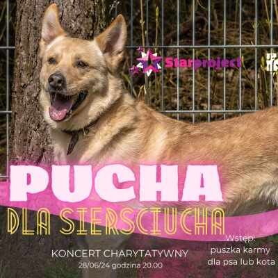 Link do opisu wydarzenia: Pucha dla Sierściucha z Sopotkowa!