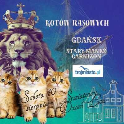 Link do opisu wydarzenia: Wystawa Kotów Rasowych w Gdańsku - Summer Cat Show in Gdańsk