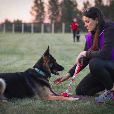 Link do opisu wydarzenia: Zrozumieć psa – prelekcja