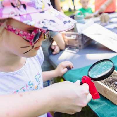 Link do opisu wydarzenia: Piknik Zdrowia i Urody