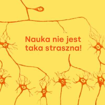 Link do opisu wydarzenia: Nauka nie jest taka straszna! Jak powstaje nauka – spotkanie z dr Pawłem Boguszewskim