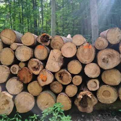 Link do opisu wydarzenia: Konsultacje społeczne: Przyszłość Trójmiejskiego Parku Krajobrazowego