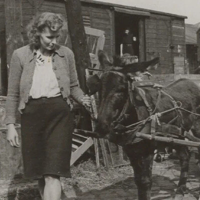 Link do opisu wydarzenia: Między migracją a integracją. Społeczeństwo Gdańska w latach 1945-1960