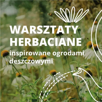 Link do opisu wydarzenia: Warsztaty herbaciane z misją