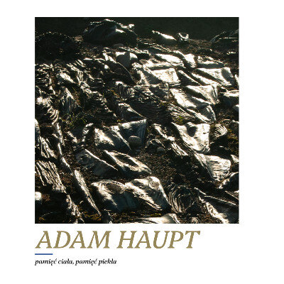 Link do opisu wydarzenia: Adam Haupt. Pamięć ciała, pamięć piekła