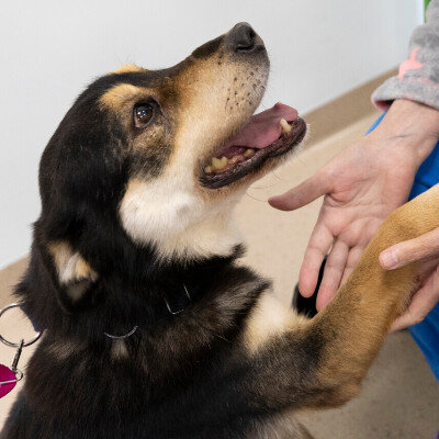 Link do opisu wydarzenia: A może nad morze? Spotkanie z podopiecznymi Promyka