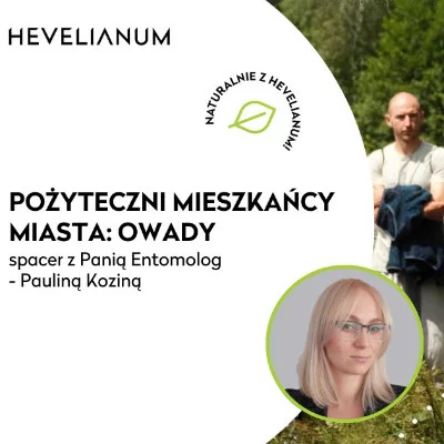 Link do opisu wydarzenia: Warsztaty „Pożyteczni mieszkańcy miasta: owady"