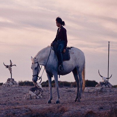 Link do opisu wydarzenia: Przegląd Nowego Kina Francuskiego: Zwierzę