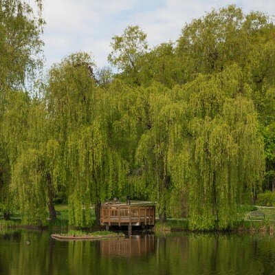 Link do opisu wydarzenia:  MUZYKA NIEJEDNO MA IMIĘ - koncerty w Altanie Parku Oruńskiego