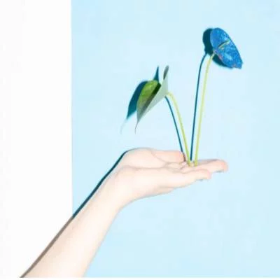Link do opisu wydarzenia: Natalia Kolbiarz - Capitalism Plants