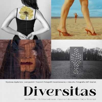 Link do opisu wydarzenia: Diversitas