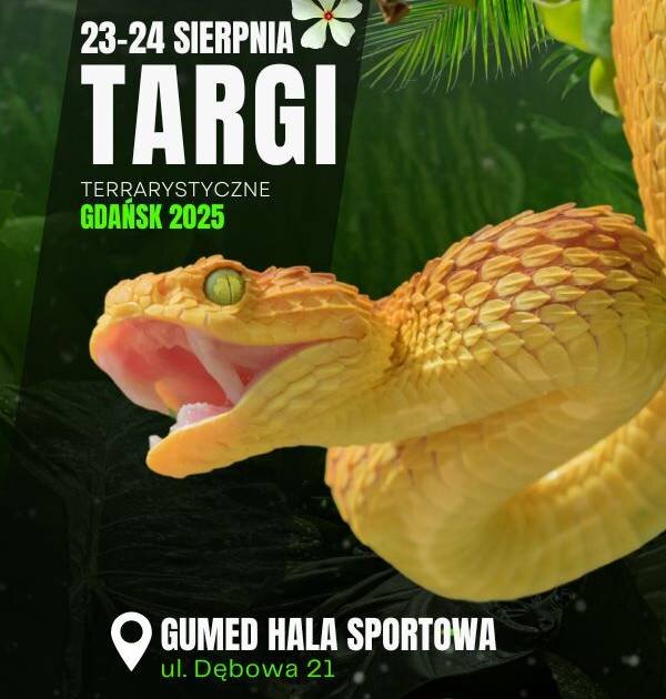Link do opisu wydarzenia: EXOTICARIUM Targi Terrarystyczne 