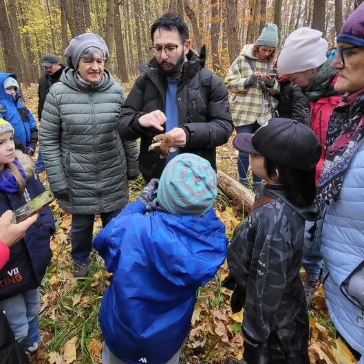 Link do opisu wydarzenia: Spacer przyrodniczy - O czym szumi las?